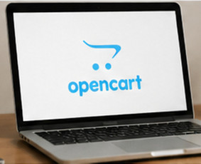 El. parduotuvių kūrimas su OpenCart - Webomas Professional Web Development Studio Lithuania - 1