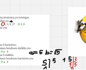 Mokymai, kursai, kalbos - Matematikos korepetitorė (1-10kl.) - 4