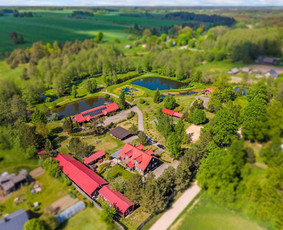 Kitos kategorijos - Sertifikuotas NT brokeris Vytautas Beizakas - 3