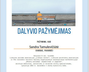 Naujausi terapijų metodai. Neuroypatumų mentorystė,koučingas / Sandra Merula / Darbų pavyzdys ID 1785599