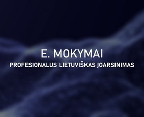 E. mokymų įgarsinimo paslaugos pavyzdys.