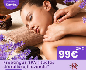 Reklamos internete kūrimas - Google Ads, Meta Ads reklamos + banerių kūrimas - 3