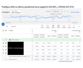 Google Ads kampanijų rezultatai