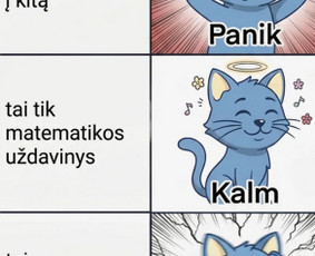 Matematikos korepetitorius/ vbe 100/ knygos autorius/ 9-12kl / Danielius Korsakas / Darbų pavyzdys ID 4517691
