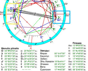 Astrologai - Individualios astrologinės konsultacijos - 1