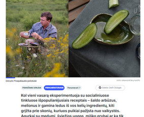 Internetas, IT - Prane&scaron;imai žiniasklaidai,straipsniai,10 m.patirtis - 2