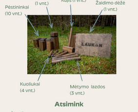 Komunikacijos specialistai - Turinys soc. tinklams / &bdquo;Hostinger&ldquo; svetainių redagavimas - 3