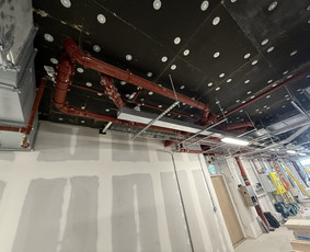 Santechinka / Karolis Metlovas / Darbų pavyzdys ID 4518785