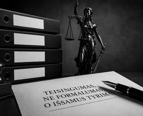 Baudžiamosios teisės paslaugos - Individulialios ir konfidencialios teisinės paslaugos. - 1