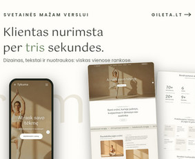 Internetas, IT - Logotipų kūrimas, Grafinis dizainas, Vizitinės svetainės - 2