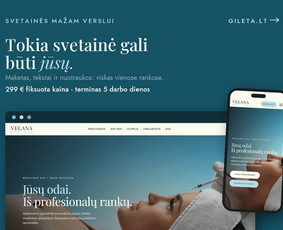Internetas, IT - Logotipų kūrimas, Grafinis dizainas, Vizitinės svetainės - 4