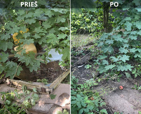 &Scaron;iuk&scaron;lių i&scaron;vežimas: statybinių ir kt. - &Scaron;iuk&scaron;lių,baldų,pavojingų bei nepavojingų atliekų I&scaron;vežimas - 1