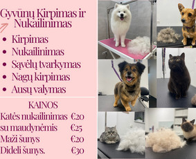 &Scaron;unų, kačių kirpyklos - &Scaron;unų ir kačių kailio priežiura - 1