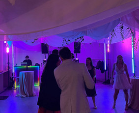 Dj su šventės vedimu ir pilna įranga (lt-en-ru-pl) / ARNO / Darbų pavyzdys ID 4522119