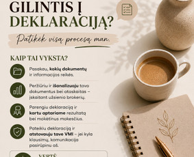 Konsultacijos mokesčių klausimais - Mokesčių ir pajamų deklaravimo ekspertė - 3