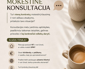 Konsultacijos mokesčių klausimais - Mokesčių ir pajamų deklaravimo ekspertė - 2