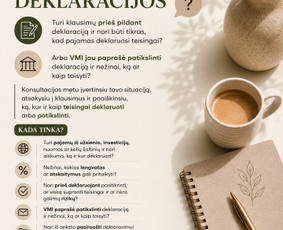 Konsultacijos mokesčių klausimais - Mokesčių ir pajamų deklaravimo ekspertė - 1