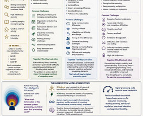 Naujausi terapijų metodai. Autizmo, Adhd, Audhd mentorystė / Sandra Merula / Darbų pavyzdys ID 4523351