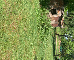 Sklypų valymas, žolės pjovimas, krūmų ir medžių pjovimas / Karolis aplinkos tvarkymas / Darbų pavyzdys ID 4523501