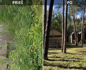 Aplinkos tvarkymas, žolės pjovimas, krūmų ir medžių pjovimas / Karolis aplinkos tvarkymas / Darbų pavyzdys ID 4523509