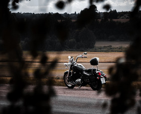 Asmeninės, augintinių, moto fotosesijos Kaune / Evaldas Slažinskas / Darbų pavyzdys ID 4523833
