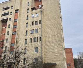 Stogų remonto darbai ir karkasiniai statiniai / Povilas Stankus / Darbų pavyzdys ID 4526519