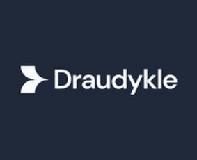 Draudimas, draudimo agentai - Draudykle - Tavo asmeninis Ai draudimo brokeris - 1