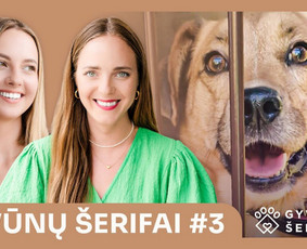 Aktorė / Renginių Vedėja / Ieva Delininkaityte / Darbų pavyzdys ID 4529177