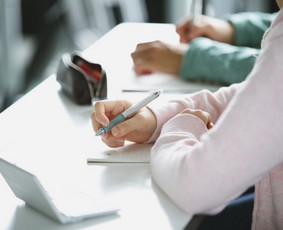 Ra&scaron;to darbų konsultantai - Ra&scaron;to darbai Jūsų studijų sėkmei! - 1