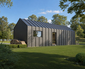 3D modeliavimas, vizualizacijų kūrimas - Fotorealistinės architektūrinės 3d vizualizacijos - 1