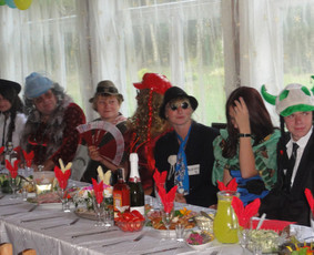 Muzikantai Jūsų Šventei - Vestuvių muzikantai - 2 Vestuvių muzikantai - Muzikantai Jūsų Šventei - 2