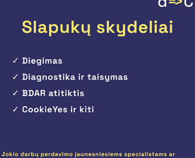 Reklamos paslaugos - Dcompetence. Google Ads reklama ir rinkodaros technologijos - 3
