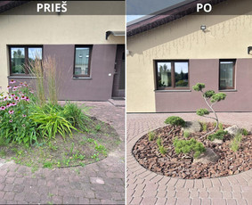 Aplinka, sodas - Apželdinimo projektai, augalų planai- privačiam sklypui - 1
