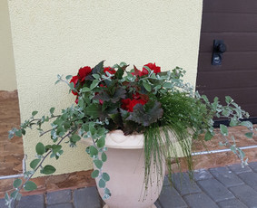 Augalų ir medelių sodinimas - Laistymo sistemos, apželdinimas, projektavimas - 4