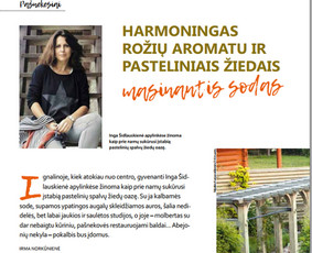 Turinys jūsų svetainei, straipsniai, Redagavimas / Irma Norkūnienė / Darbų pavyzdys ID 978805