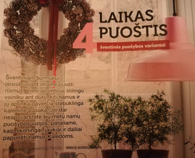 Turinys jūsų svetainei, straipsniai, Redagavimas / Irma Norkūnienė / Darbų pavyzdys ID 978813