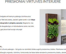 Turinys jūsų svetainei, straipsniai, Redagavimas / Irma Norkūnienė / Darbų pavyzdys ID 978817