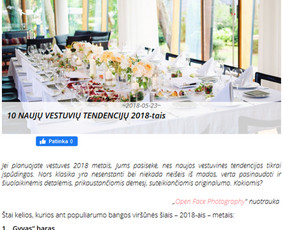 Turinys jūsų svetainei, straipsniai, Redagavimas / Irma Norkūnienė / Darbų pavyzdys ID 978823