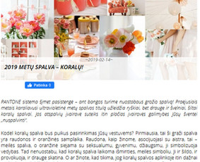 Turinys jūsų svetainei, straipsniai, Redagavimas / Irma Norkūnienė / Darbų pavyzdys ID 978827