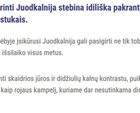 Turinys jūsų svetainei, straipsniai, Redagavimas / Irma Norkūnienė / Darbų pavyzdys ID 978829