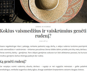 Turinys jūsų svetainei, straipsniai, Redagavimas / Irma Norkūnienė / Darbų pavyzdys ID 978833