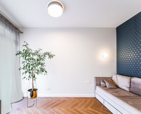 Pilnas būsto įrengimas iki rakto / INTERHOUSE / Darbų pavyzdys ID 979227