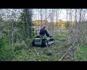 Pievų &scaron;ienavimas - Aplinkos priežiūros darbai, žolės pjovimas - 1