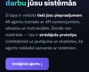 Di automatizavimas, chatbotai ir integracijos / Jānis Vilciņš / Darbų pavyzdys ID 4534382