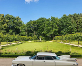 Fotoveidrodis, 360 platforma, meškinas, arkos, auto nuoma / NiceMoments.LT / Darbų pavyzdys ID 4534600