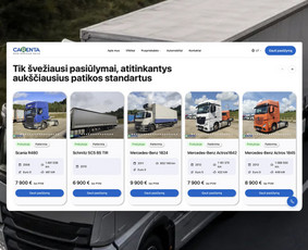 Internetas, IT - Svetainių kūrimas, web sistemos ir automatizacijos - 3