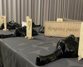 Protmūšių organizavimas, vedimas, Mafija ir kitos pramogos / Renginių paletė / Darbų pavyzdys ID 4536292