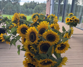 Floristai, gėlių salonai - Lietuvoje užauginti saulėgražų žiedai - 2