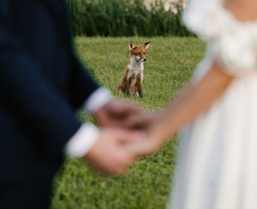 Tikrai jūsų fotografė! :) / Snieguolė / Darbų pavyzdys ID 4536416
