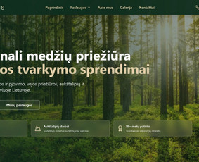 Programavimas su WordPress - Interneto Svetainės, Seo ir Reklama Vienoje Vietoje - 1